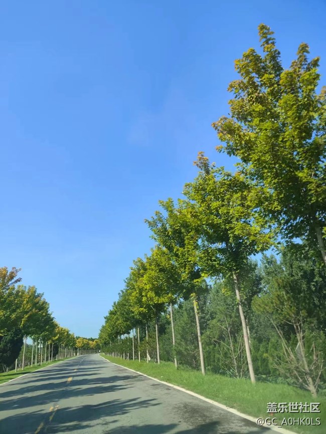 【夏天的綠色】公路片中的景