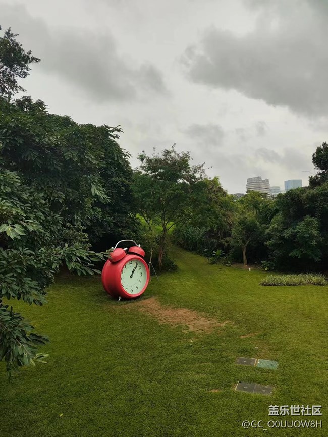 【夏天的綠色】虹橋公園