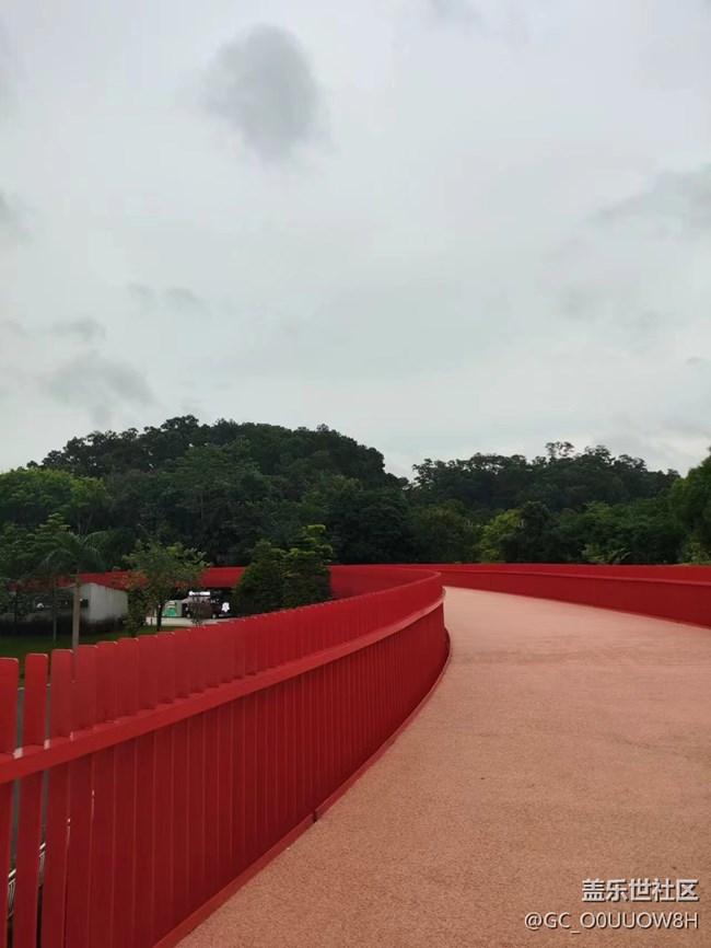 【夏天的綠色】虹橋公園