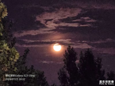 風(fēng)靜露微不思眠
月明云青寄哀思