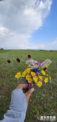 【最美一刻】+美麗的大草原