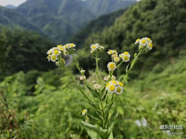 S24ULTRA照片負(fù)優(yōu)化太嚴(yán)重了，請抓緊修復(fù)?。? title=