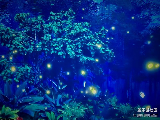 【百諾巧克力博物館線下攝影活動】+幾何