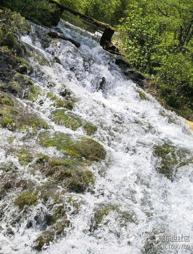 【旅行日記】山泉瀑布美景
