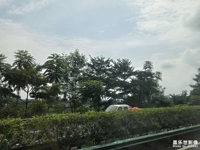 【最美一刻】+開心每一天