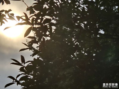 【最美一刻】+傍晚時(shí)刻