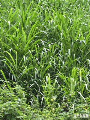 【最美一刻】+夏日活力