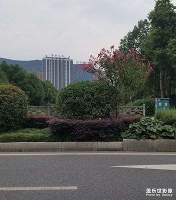 【最美一刻】城市風(fēng)光