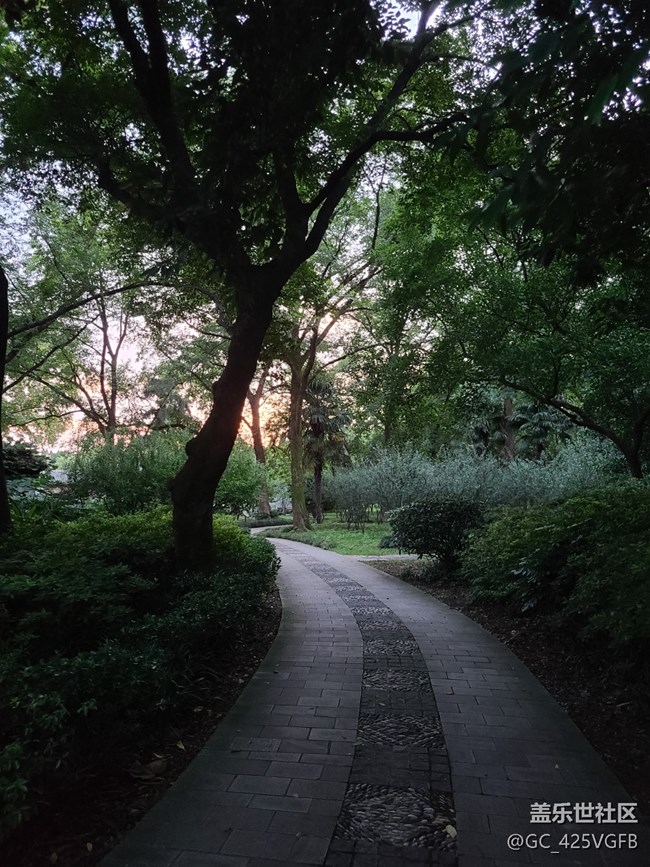 【夏日旅行】傍晚的景色