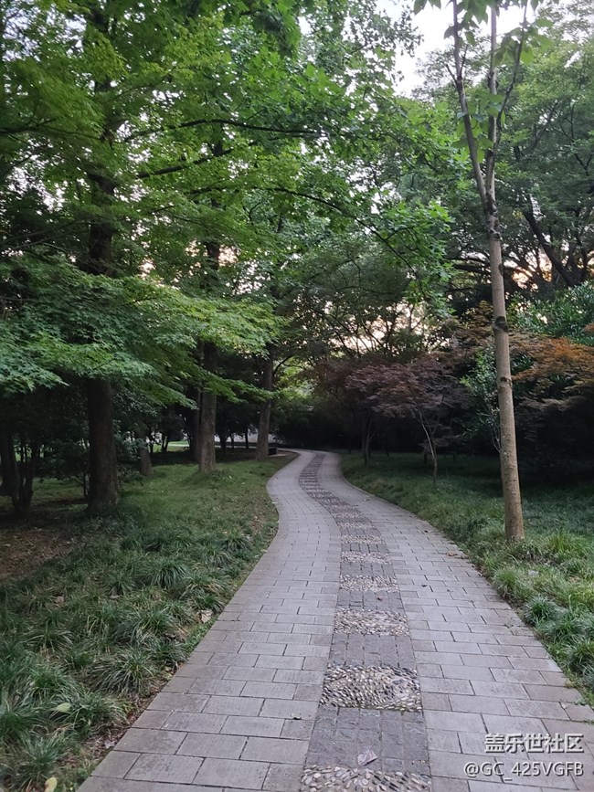 【夏日旅行】傍晚的景色