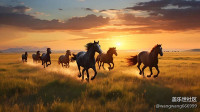 發(fā)個照片吧，完成任務(wù)就行