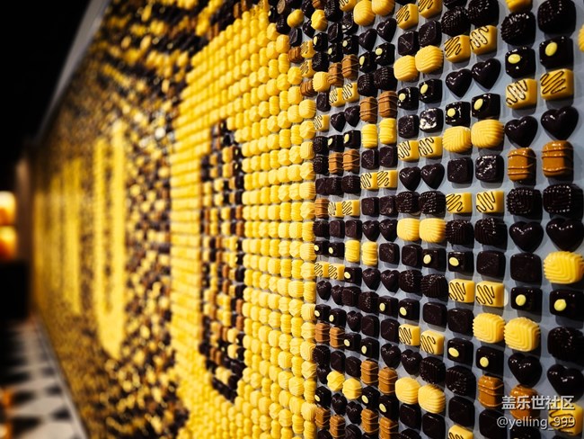 上海星部落7月20日百諾巧克力博物館線下攝影活動回顧帖