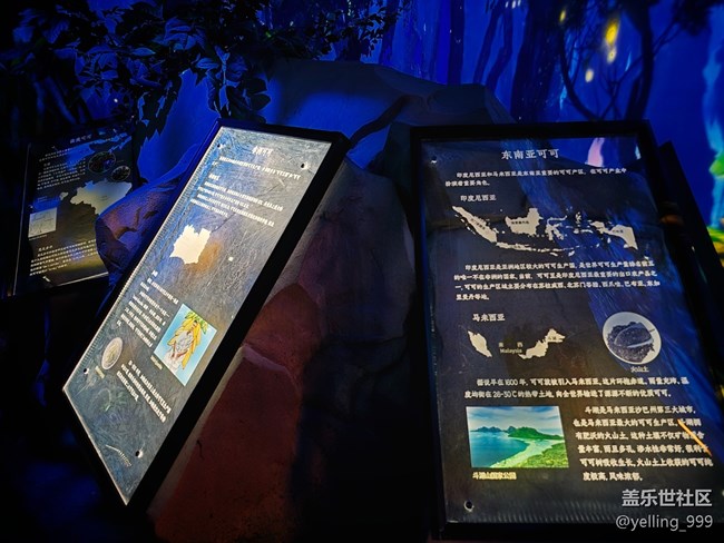 上海星部落7月20日百諾巧克力博物館線下攝影活動回顧帖