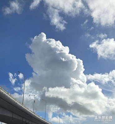 隨手拍
