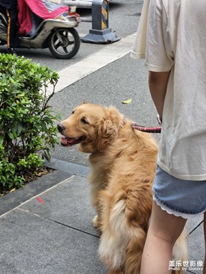 【邊走邊拍】偶遇一只小可愛