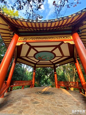 【邊走邊拍】+城市風(fēng)景