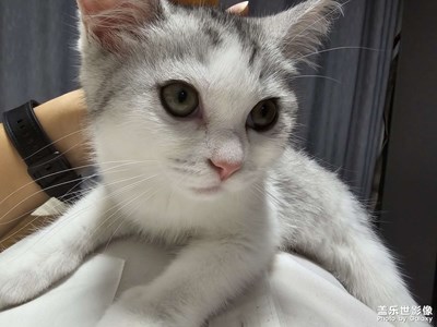 【邊走邊拍】+尋光覓影