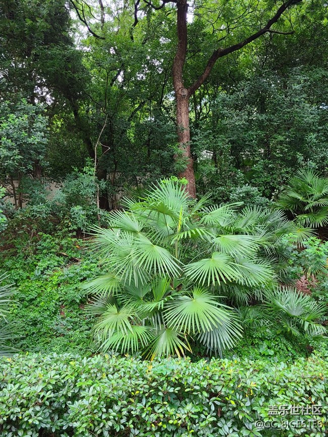 【逐溪尋野】山野隨拍