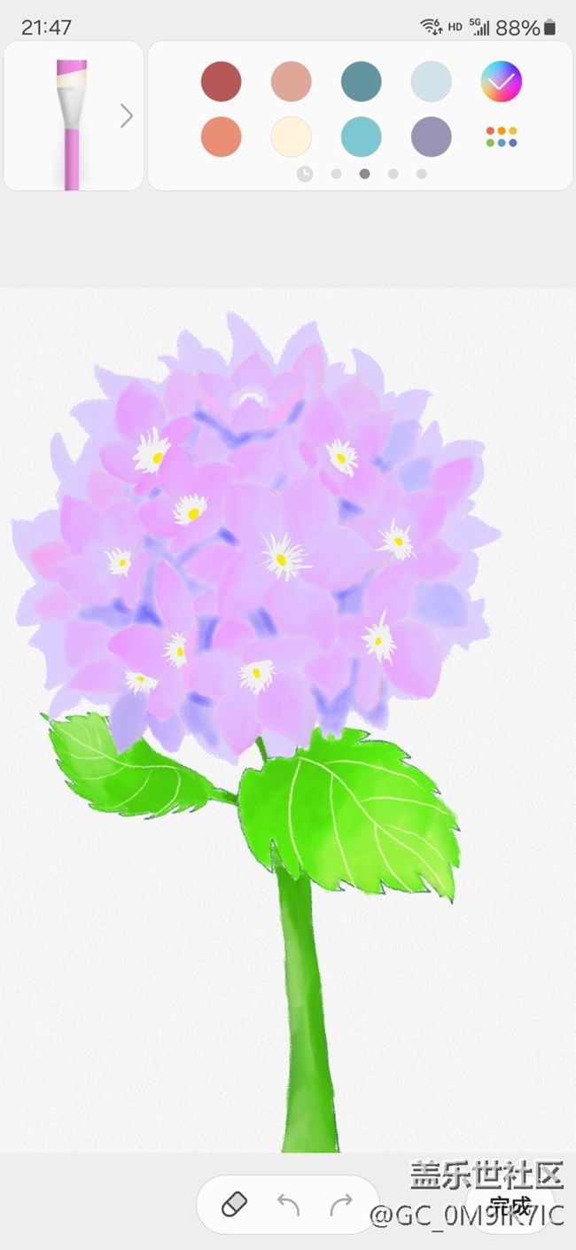繡球花