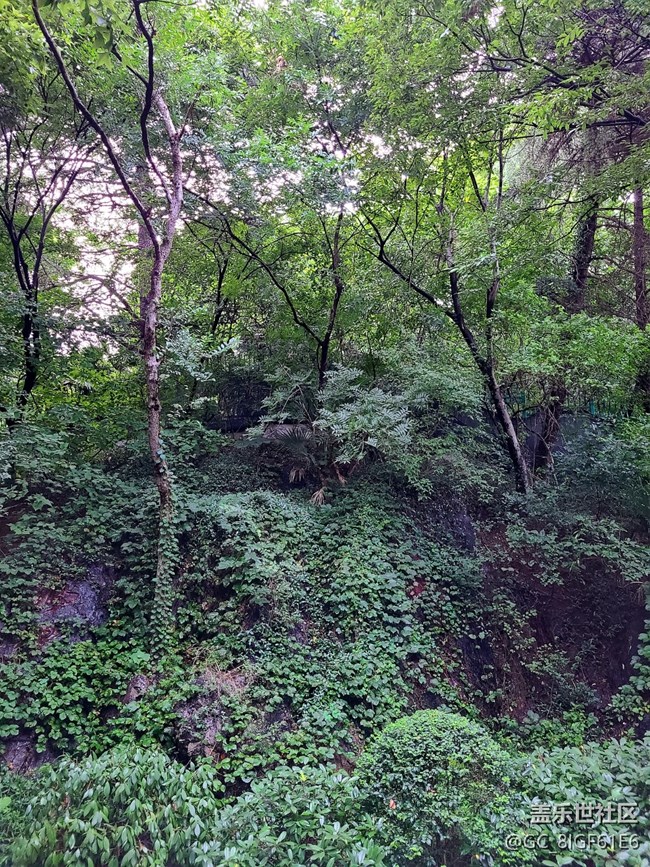 【逐溪尋野】山野隨拍