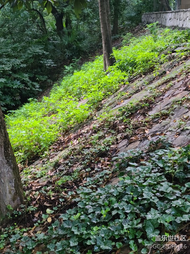 【逐溪尋野】山野隨拍