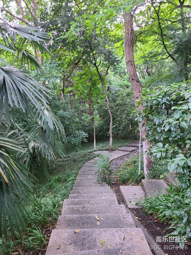 【逐溪尋野】山野隨拍