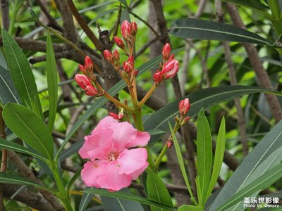 【邊走邊拍】公園一角