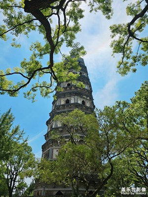 【邊走邊拍】+游虎丘