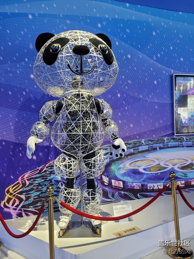 【為奧運喝彩】+從北京到巴黎