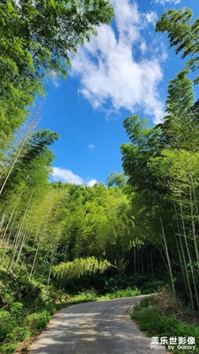 【邊走邊拍】+尋夢天子湖，如意石佛山