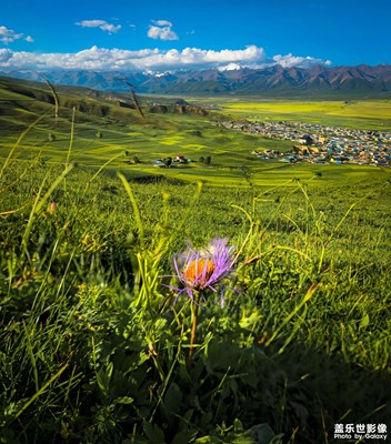 蓋樂(lè)世影像