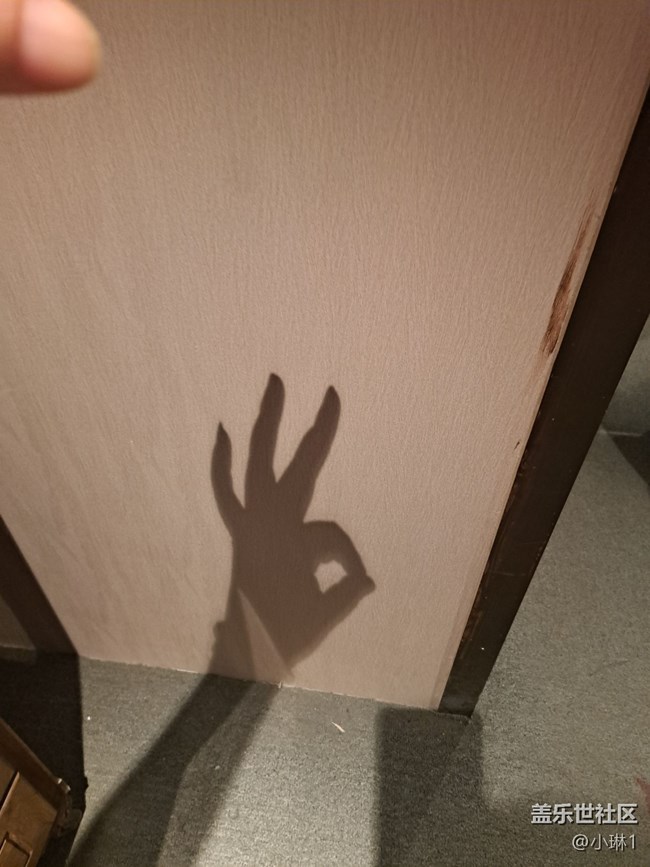 【光與影之舞】手影