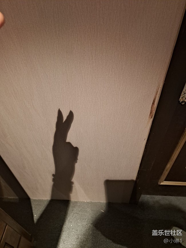 【光與影之舞】手影