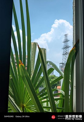 只要心態(tài)好，公司就是巴厘島