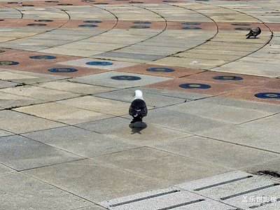 【邊走邊拍】隨手的風(fēng)景