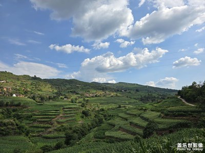 【邊走邊拍】日常