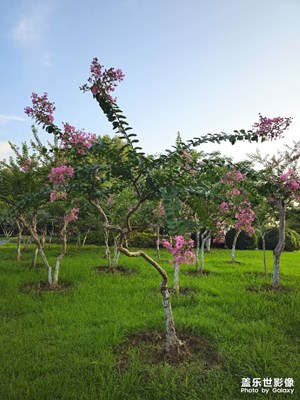 【我的假期故事】+身邊的風景