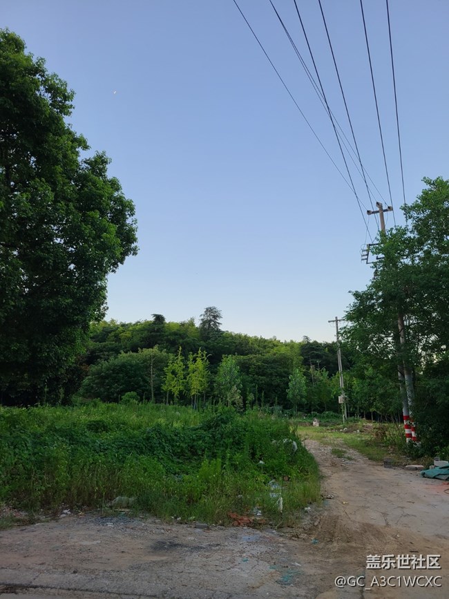 【逐溪尋野】鄉(xiāng)野小路