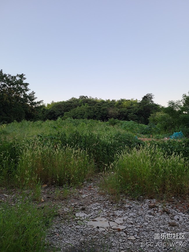 【逐溪尋野】鄉(xiāng)野小路