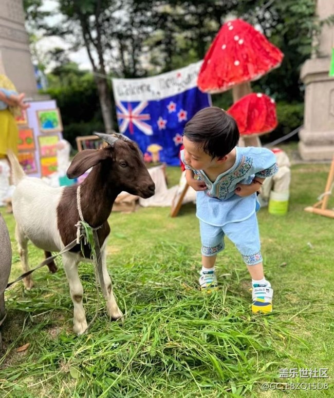 【半年足跡】忙碌的一天