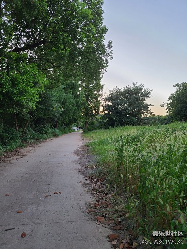 【逐溪尋野】鄉(xiāng)野小路