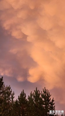 【我的假期故事】+人生如斯