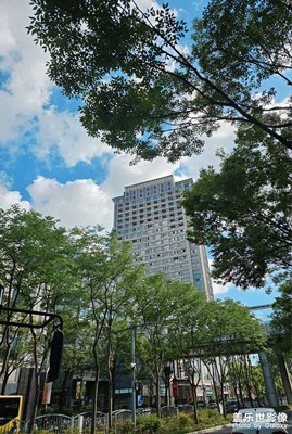 【我的假期故事】+隨手拍