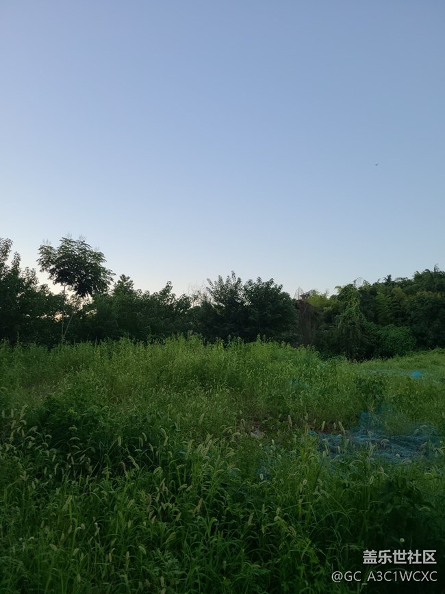 【逐溪尋野】鄉(xiāng)野小路