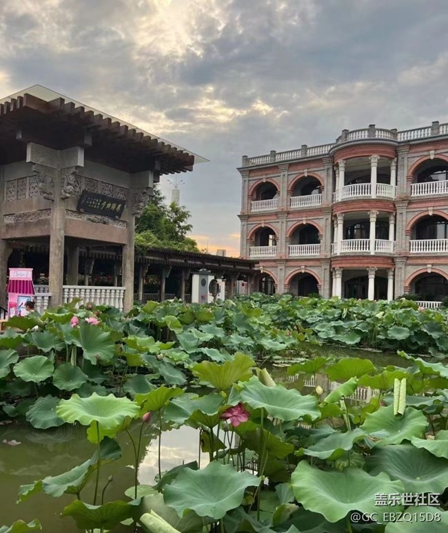 【半年足跡】忙碌的一天