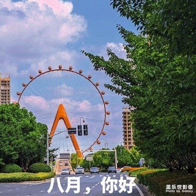 八月，你好鴨~