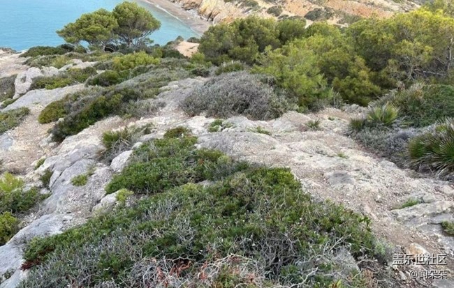 【半年足跡】海灣
