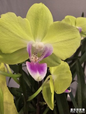 【我的假期故事】+身邊的小確幸