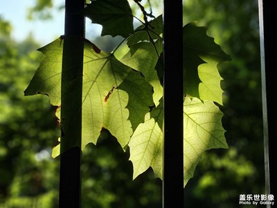 【我的假期故事】追光逐影