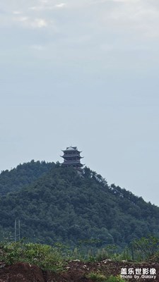 【我的假期故事】散步